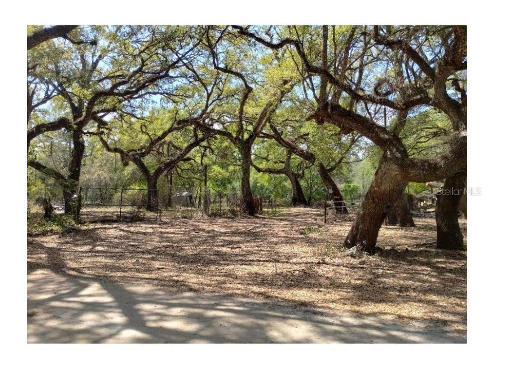 Tiger Street Dade City FL 33523 W7873611 image5