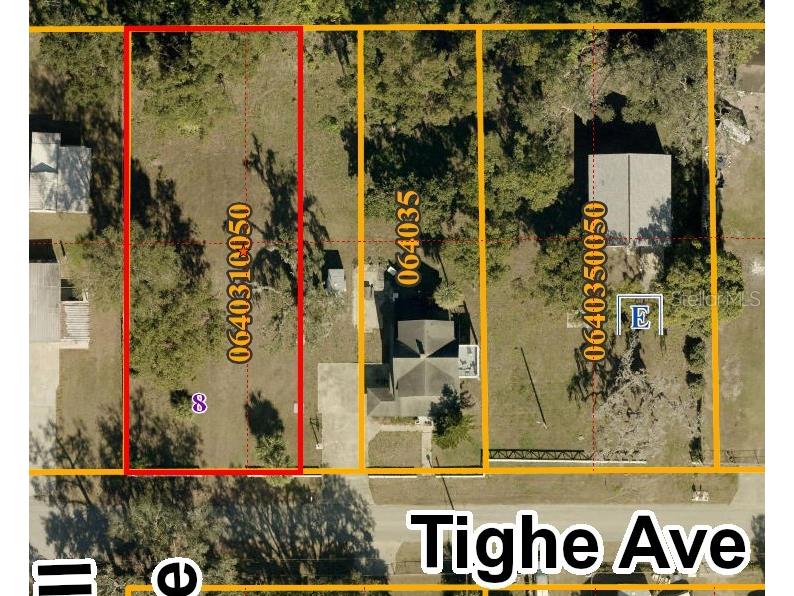 Tighe Street Seffner FL 33584 - LAKE WEEKS TB8517243 image2