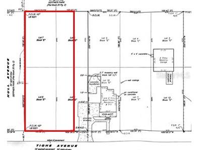 Tighe Street Seffner FL 33584 - LAKE WEEKS TB8517243 image4