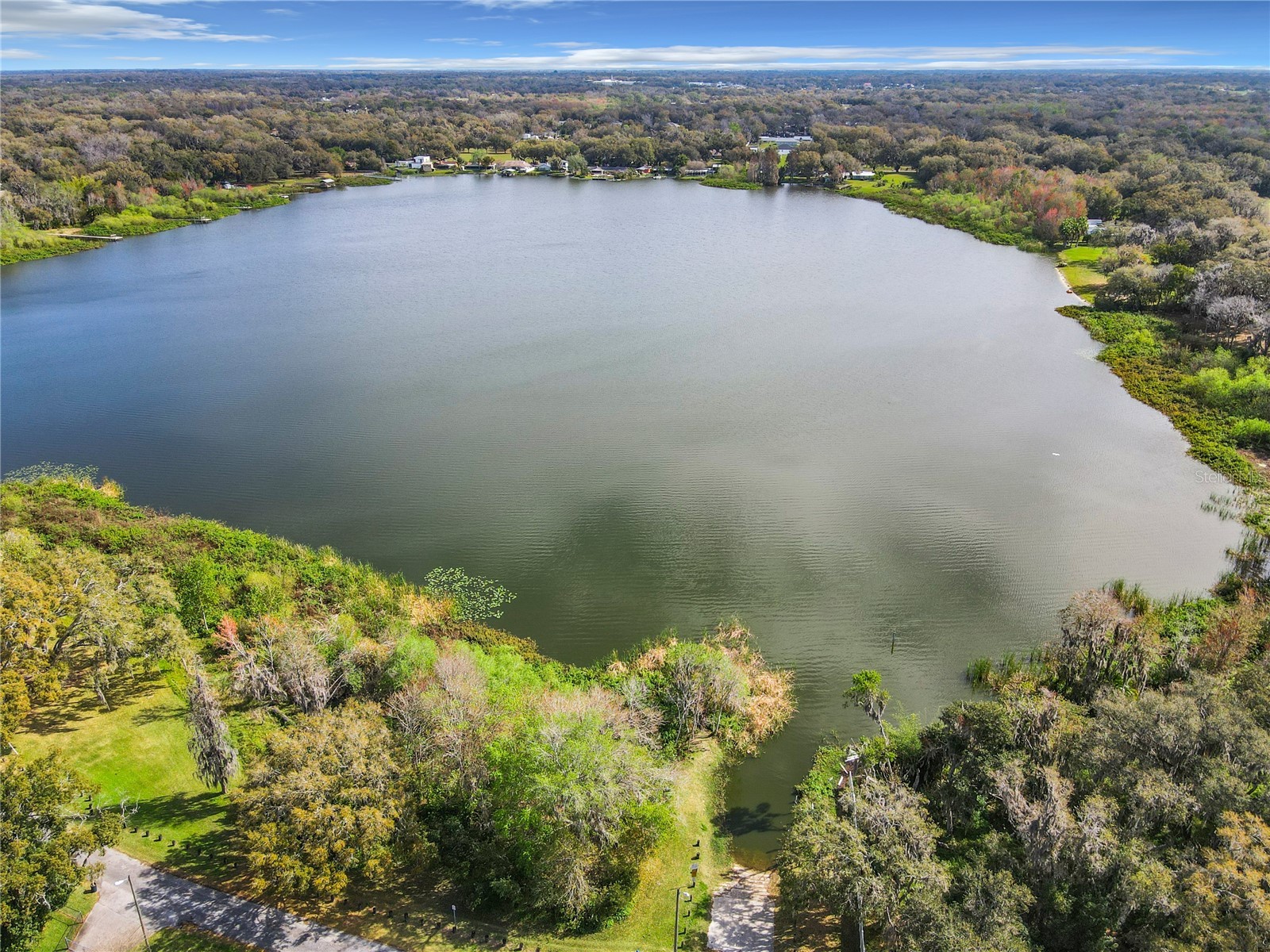 Tighe Street Seffner FL 33584 - LAKE WEEKS TB8517243 image7
