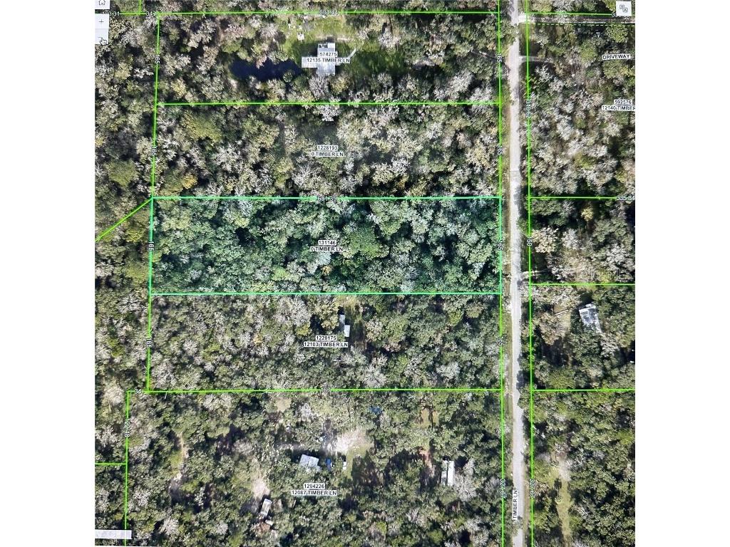 Timber Lane Brooksville FL 34601 W7871456 image1