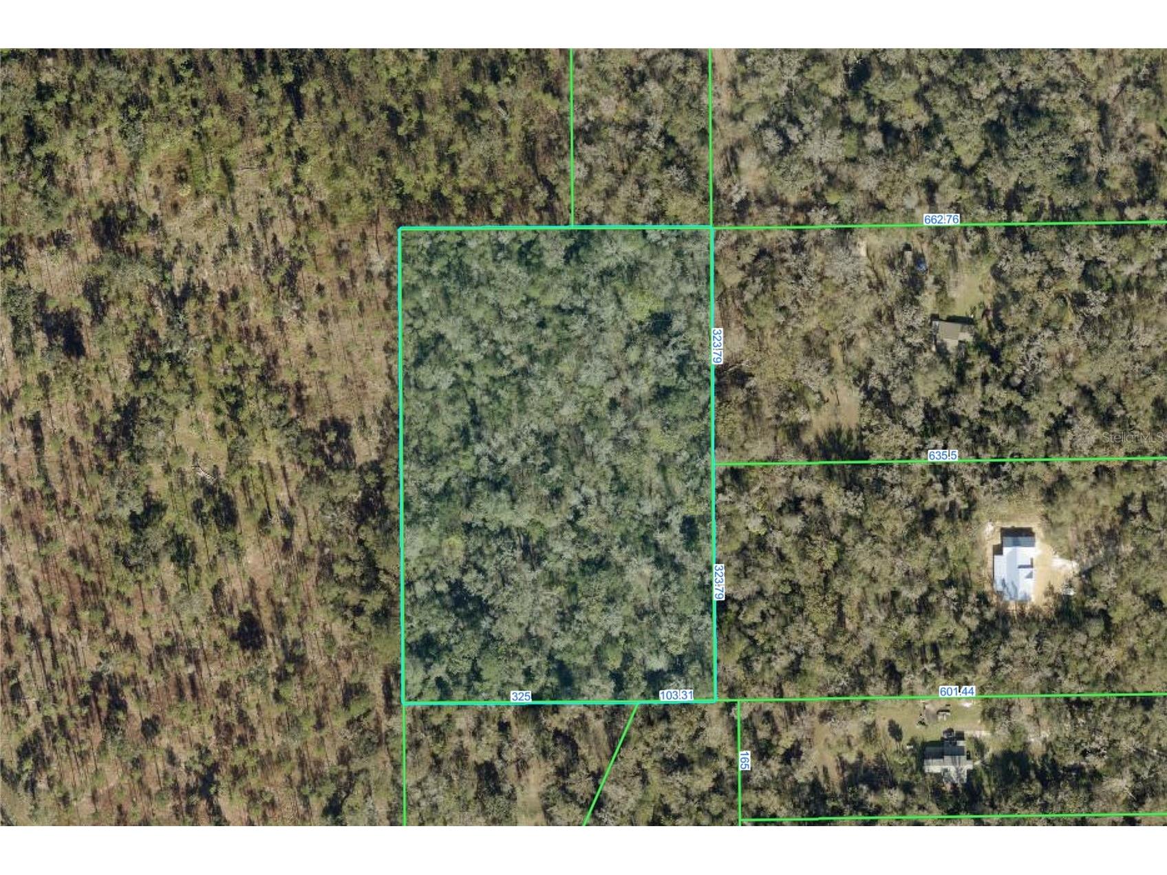 Timber Lane Brooksville FL 34601 W7884915 image1