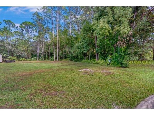 Timber Lane Eustis FL 32726 G5100620 image4