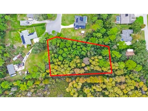 Timber Lane Eustis FL 32726 G5100620 image5