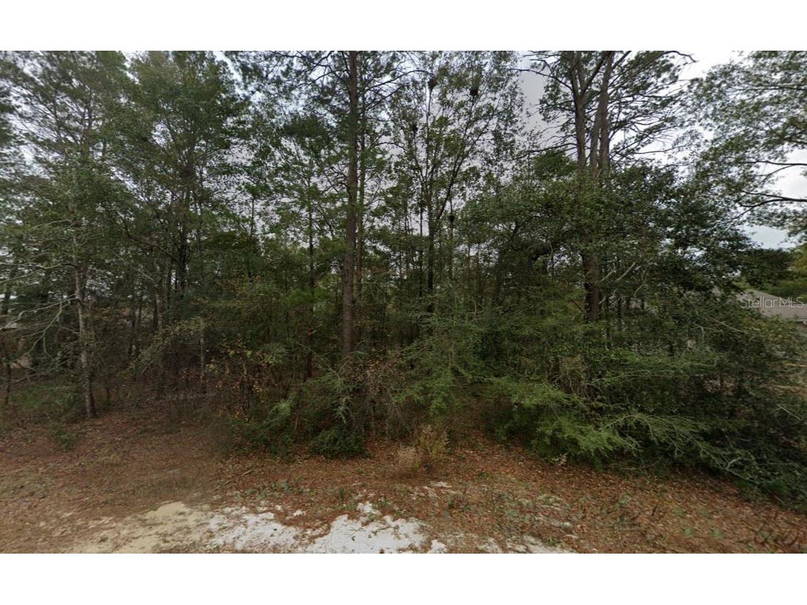 Timber Wind Drive Defuniak Springs FL 32433 A4687497 image2
