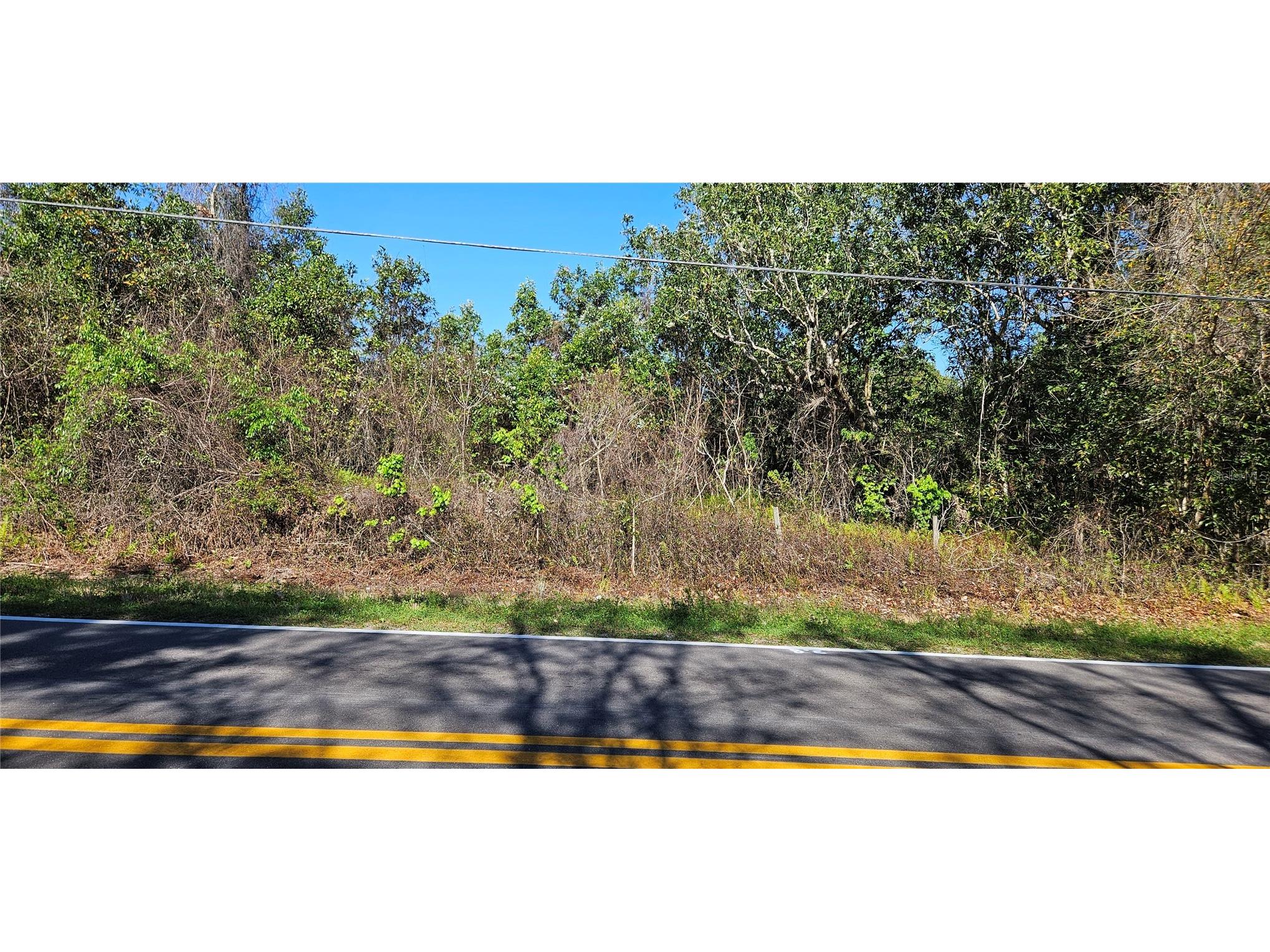 Timberlane Road Lake Wales FL 33898 L4959905 image2