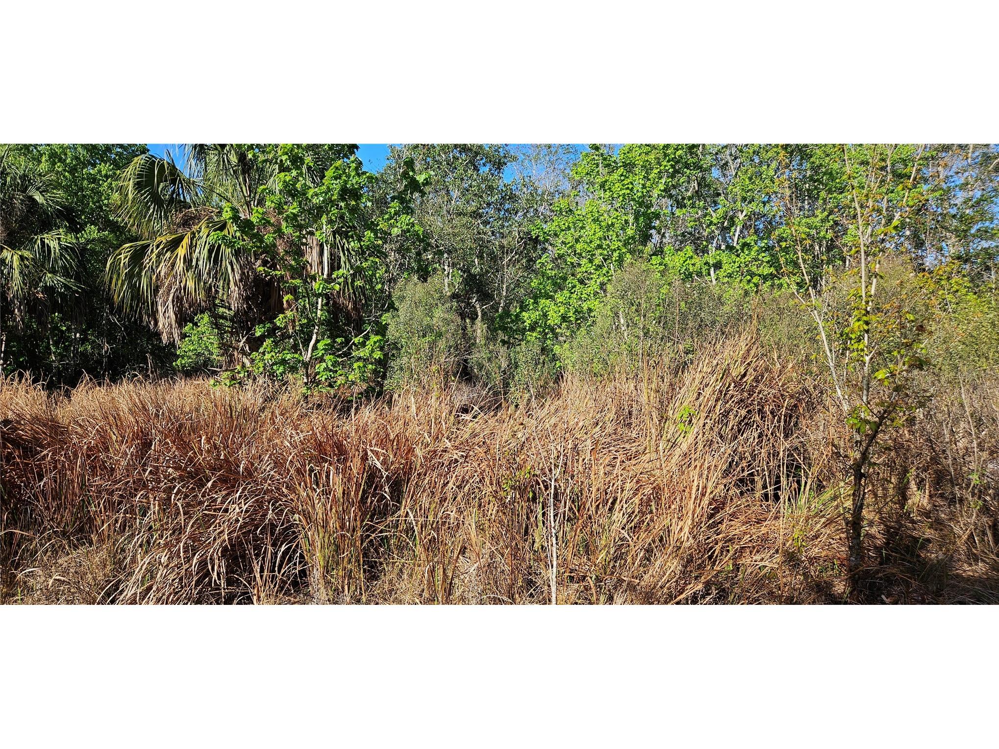 Timberlane Road Lake Wales FL 33898 L4959905 image5