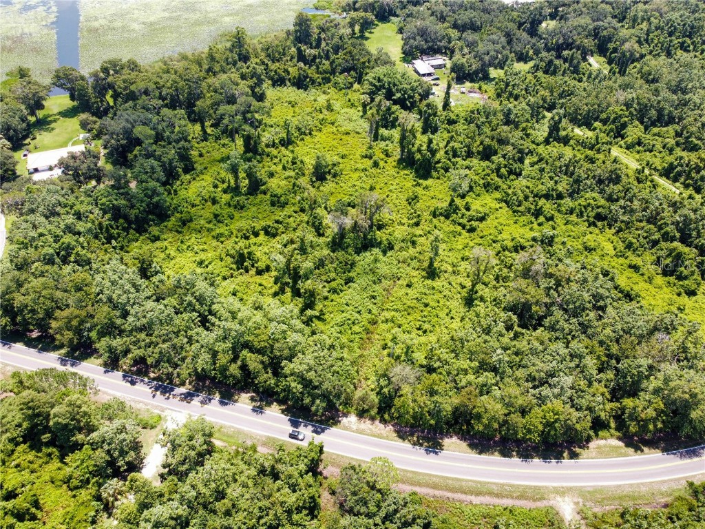 Timberlane Road Lake Wales FL 33898 - LAKE PIERCE O6331433 image10