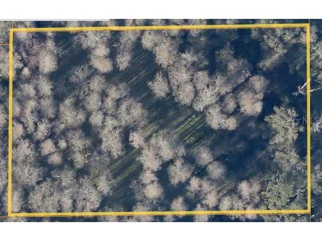 Timberwood Drive Tampa FL 33625 T3331619 image1