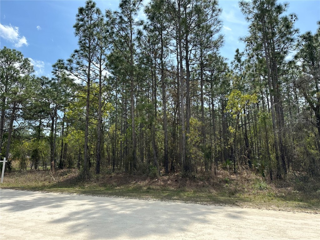 Tinamou Avenue Weeki Wachee FL 34614 W7862825 image1