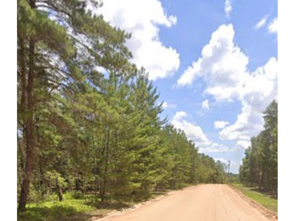 Tinsley Florahome FL 32140 OM654674 image1