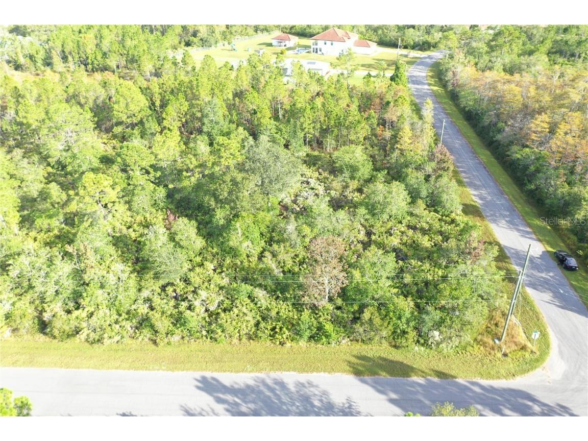 Tintagel Avenue Orlando FL 32833 O6155431 image1