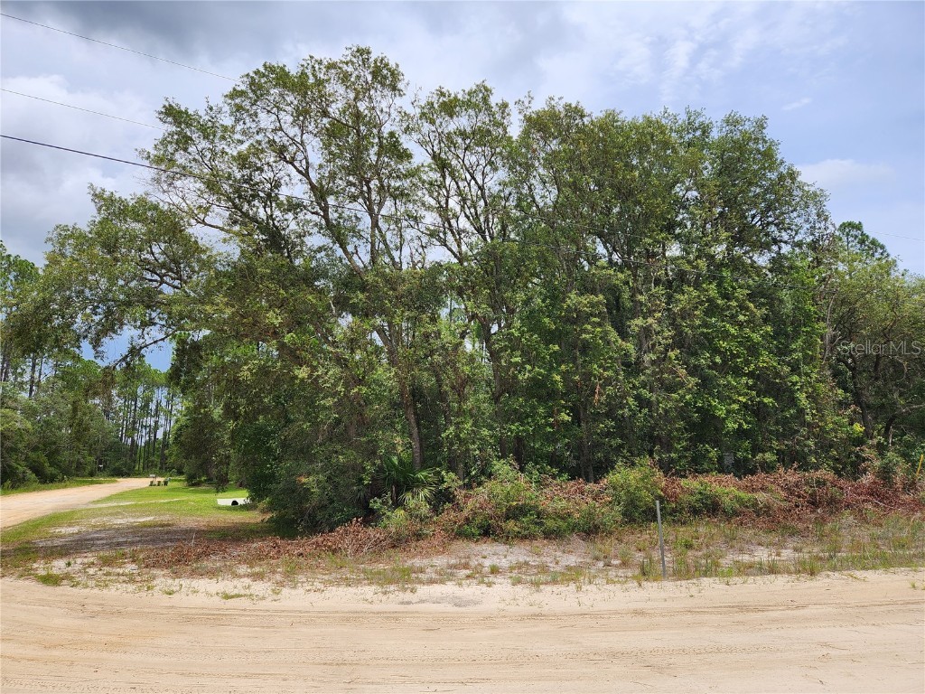 Tiny Avenue Interlachen FL 32148 OM659934 image1