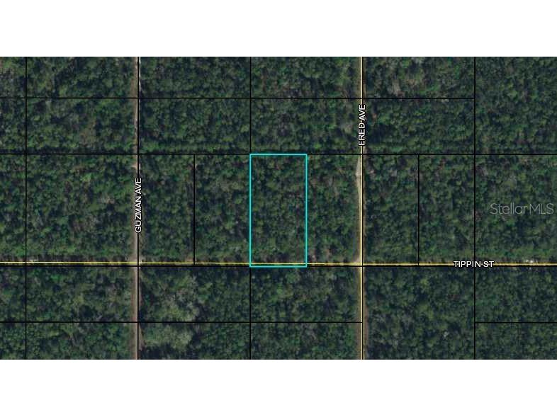 Tippin Street Bunnell FL 32110 FC302991 image1