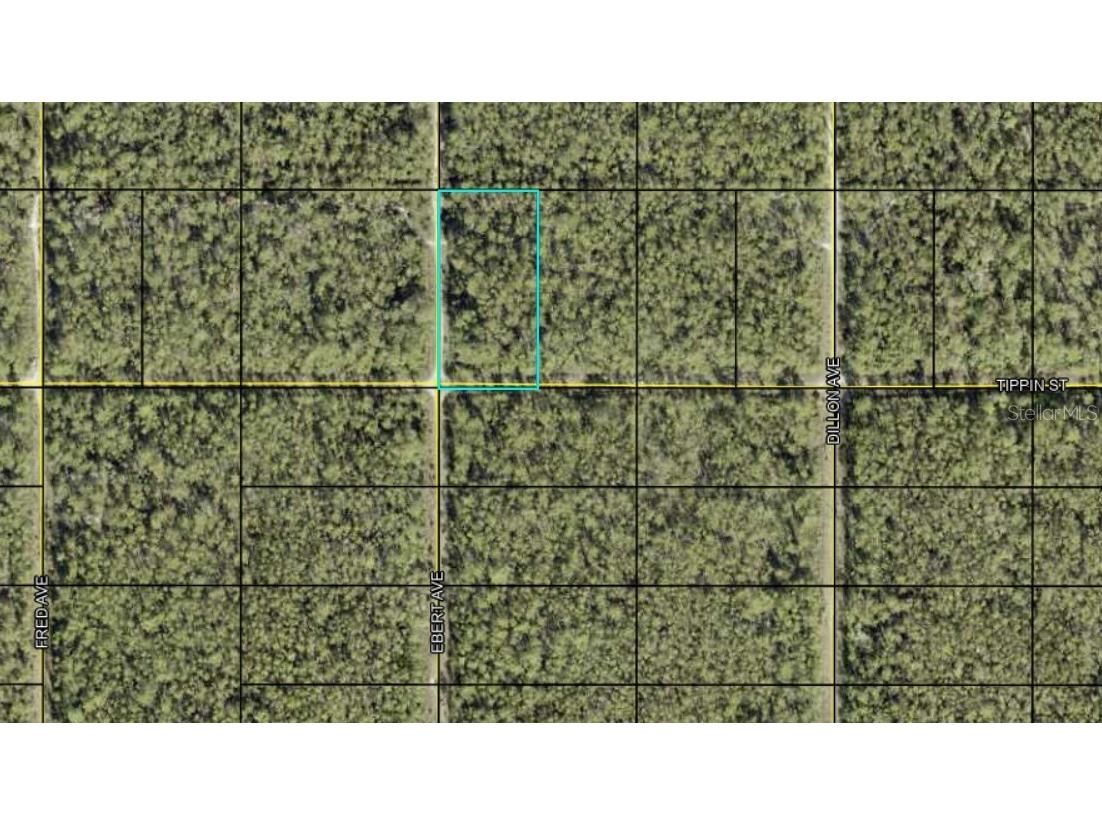 Tippin Street Bunnell FL 32110 FC302992 image1