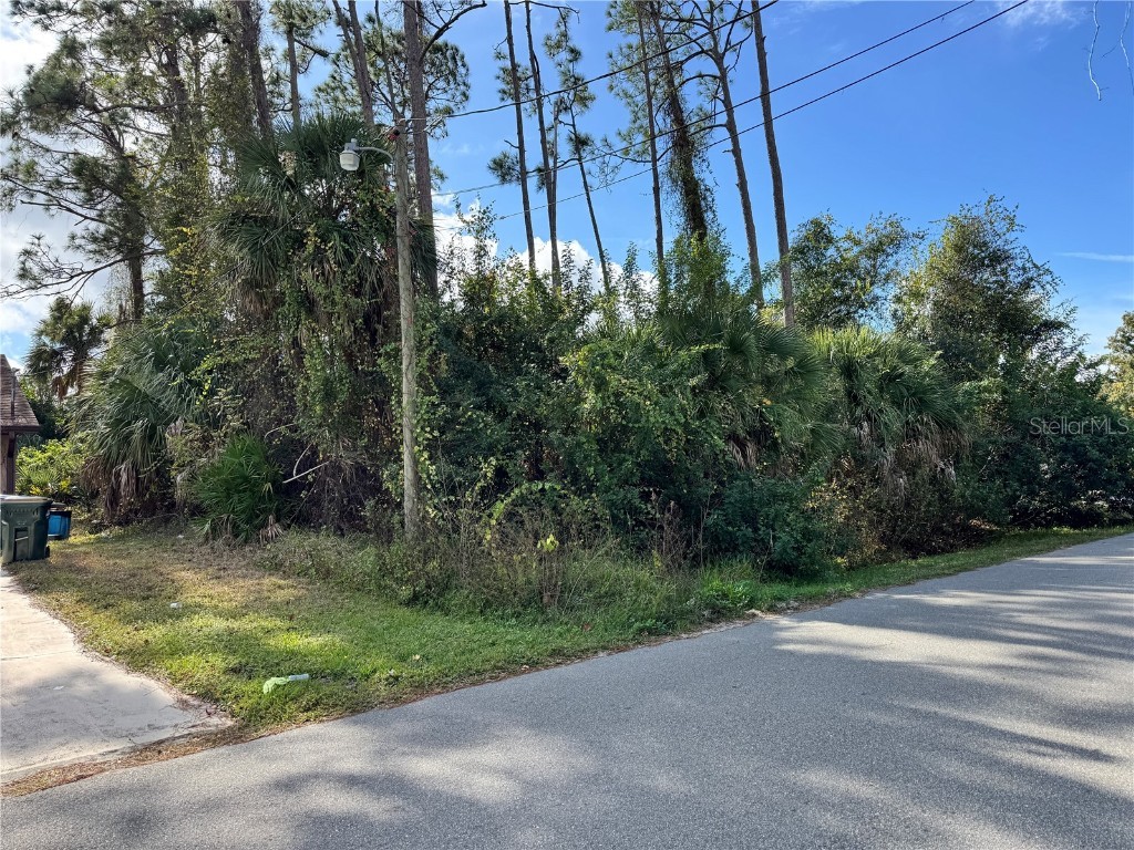 Tishman Avenue North Port FL 34286 D6145270 image2