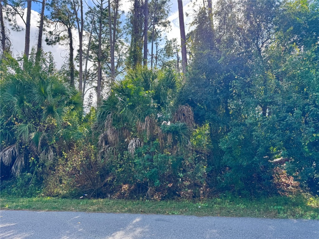 Tishman Avenue North Port FL 34286 D6145270 image3