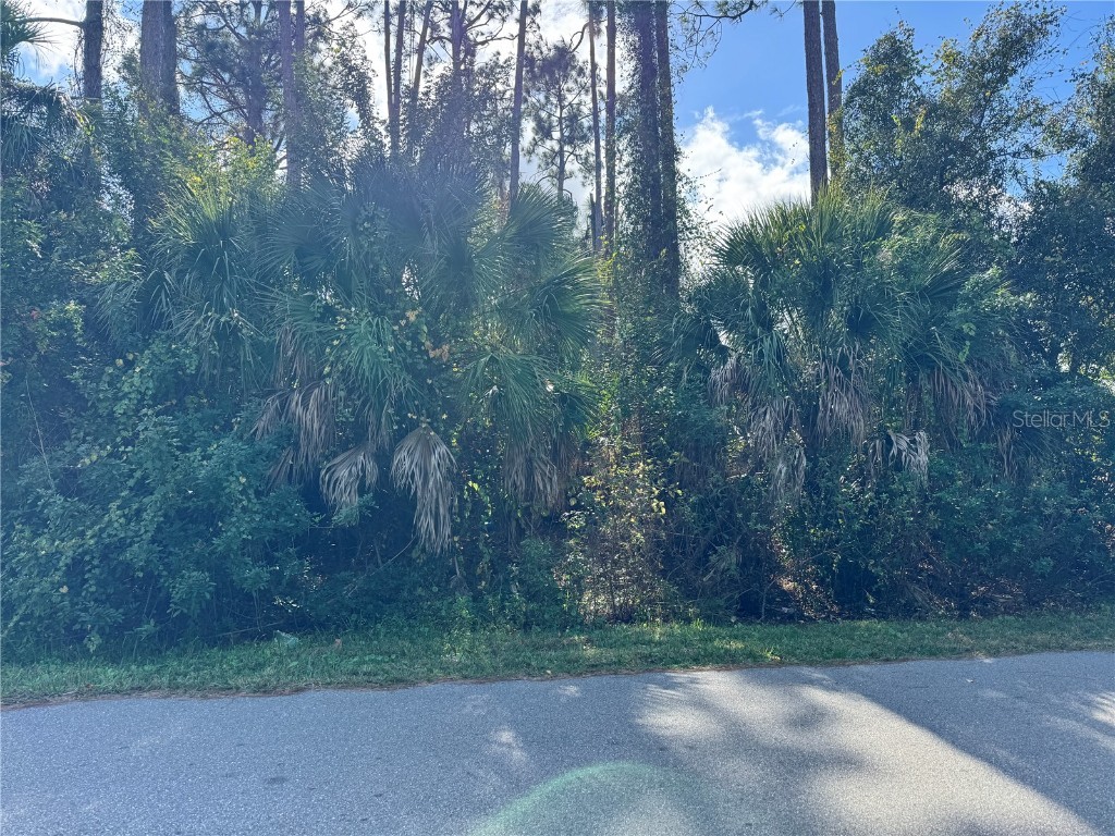 Tishman Avenue North Port FL 34286 D6145270 image4