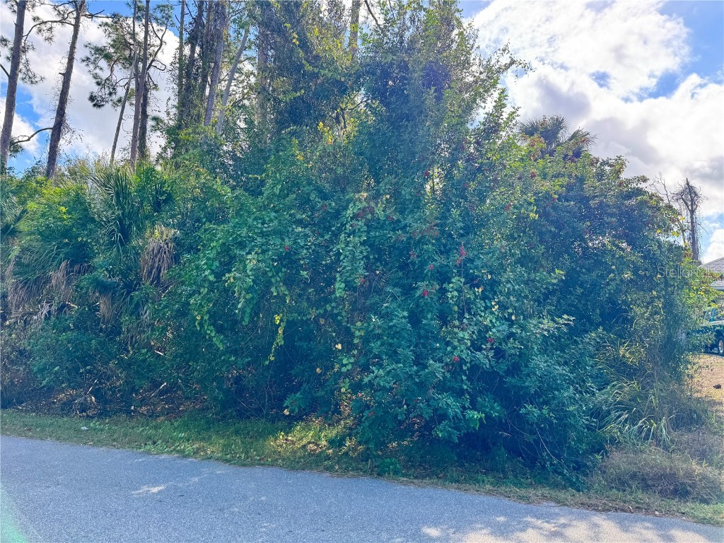 Tishman Avenue North Port FL 34286 D6145270 image5