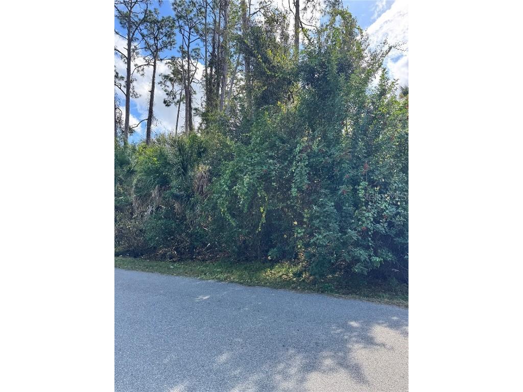 Tishman Avenue North Port FL 34286 D6145270 image7