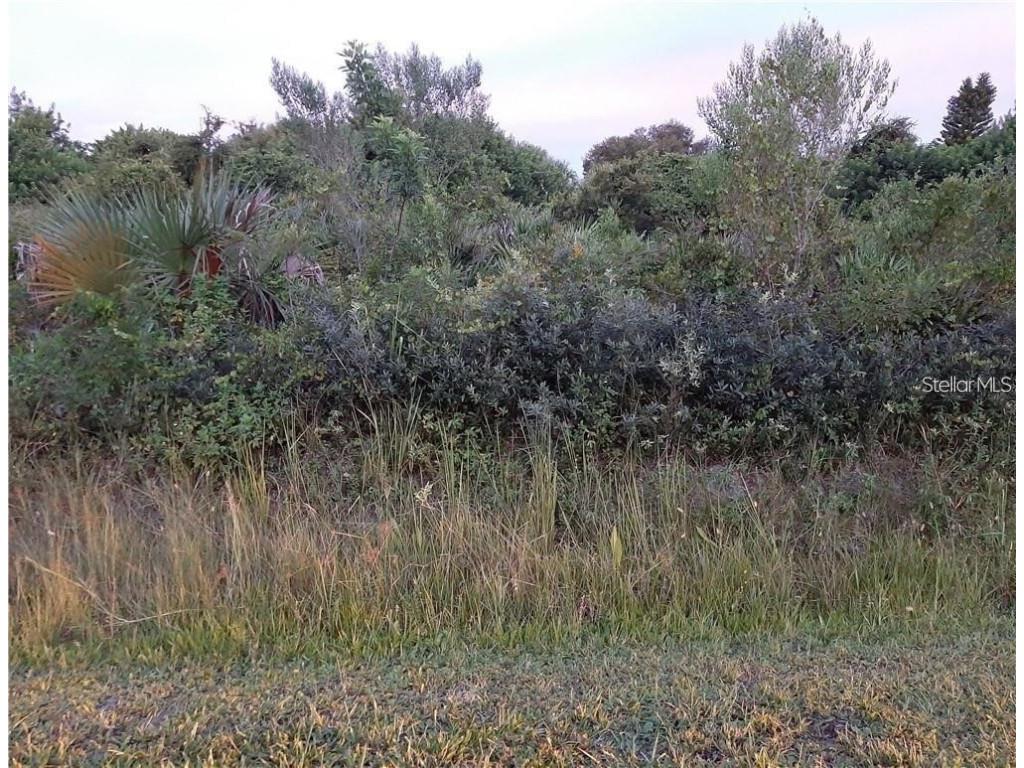 Toledo Road North Port FL 34287 A4568634 image1