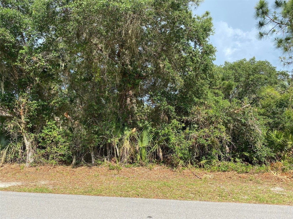 Toluca Terrace North Port FL 34286 N6121350 image5