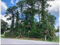 Toluca Terrace North Port FL 34286 N6127714 image1