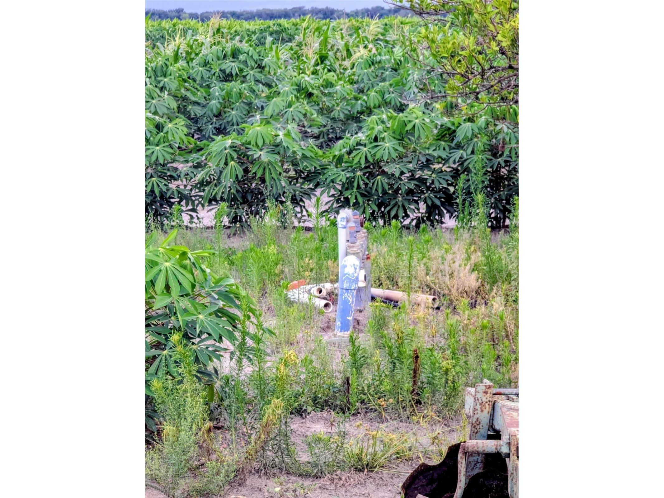 Tom Bryan Rd Zolfo Springs FL 33890 TB8514042 image2