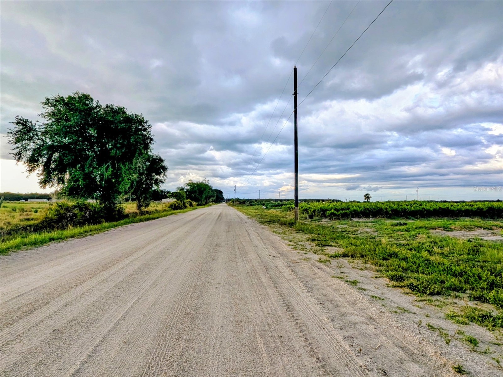 Tom Bryan Rd Zolfo Springs FL 33890 TB8514042 image4