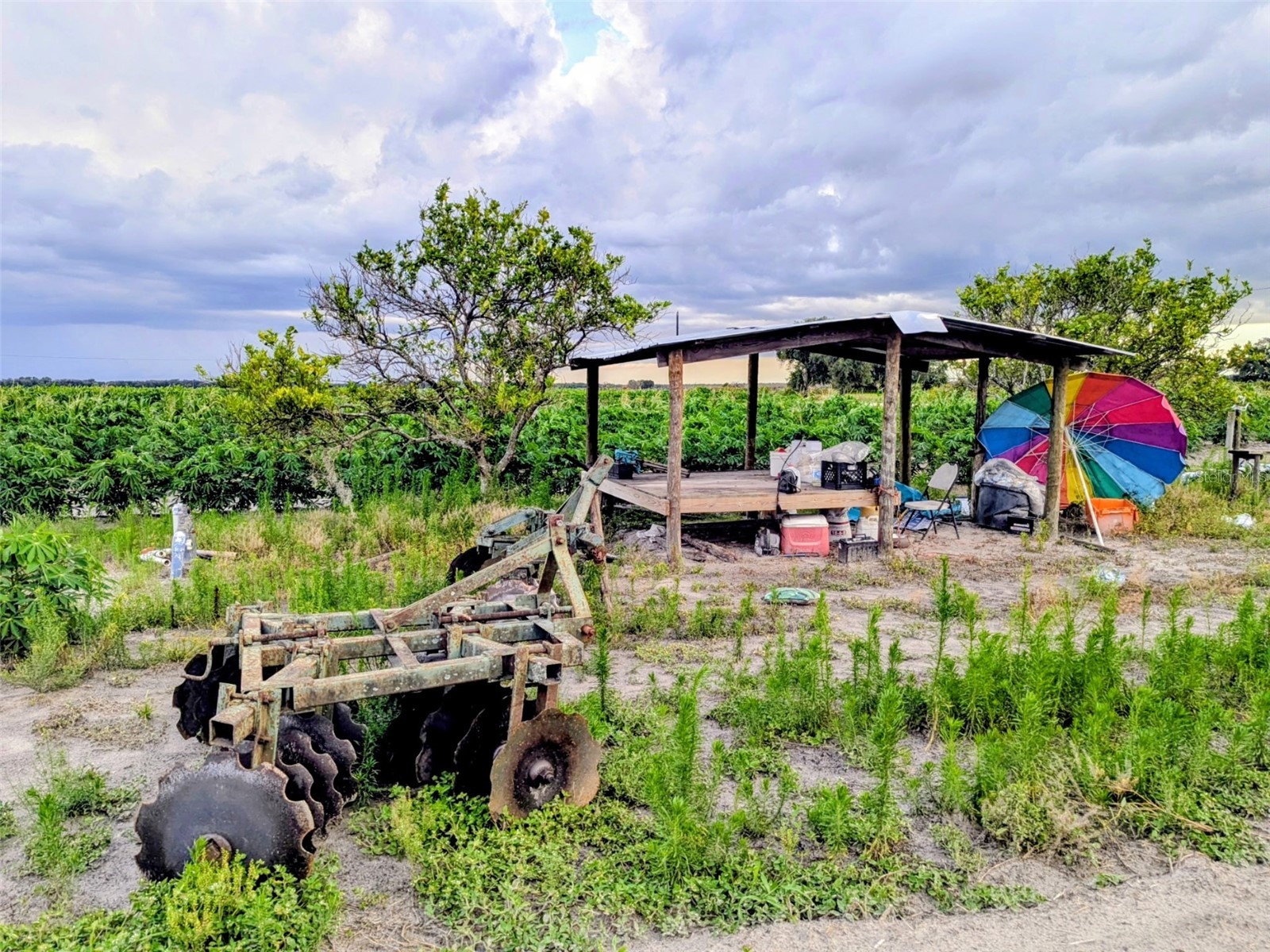 Tom Bryan Rd Zolfo Springs FL 33890 TB8514042 image8