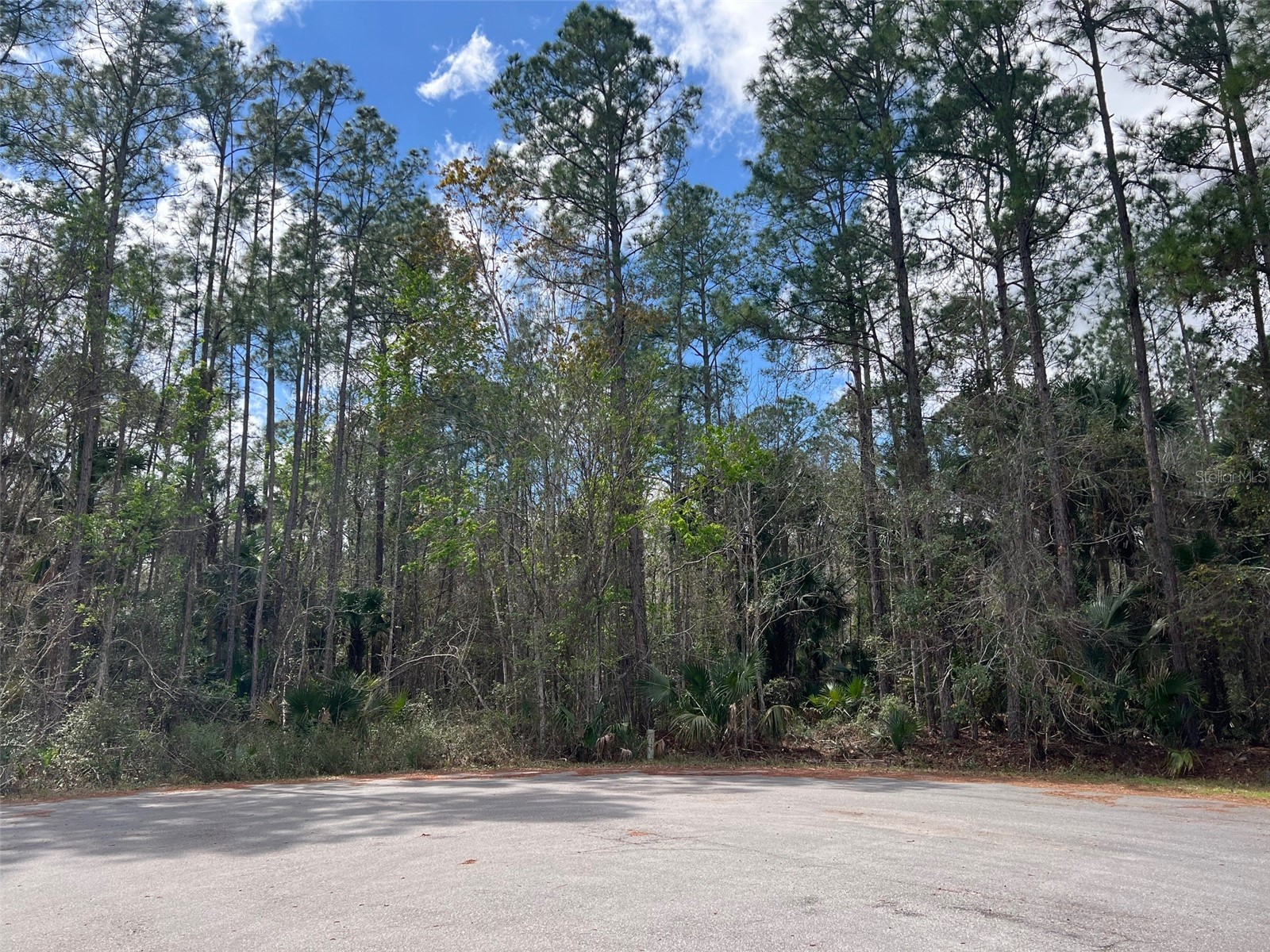 Tomahawk Trail Deland FL 32720 O6391291 image1