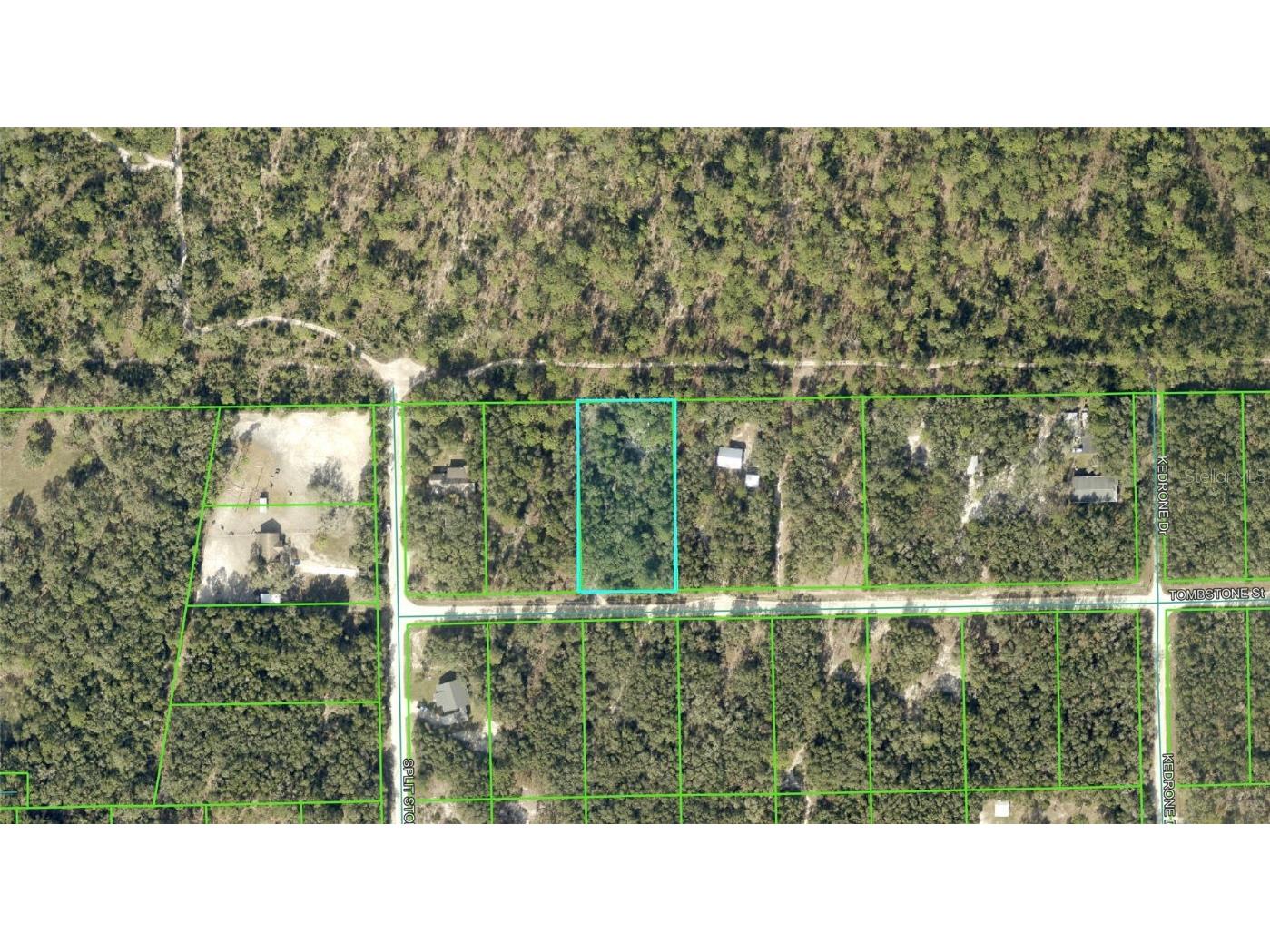 Tombstone Street Webster FL 33597 O6346472 image1