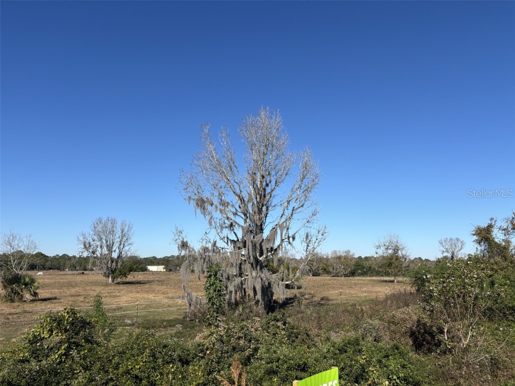 Tomoka Farms Road Port Orange FL 32128 V4946509 image4