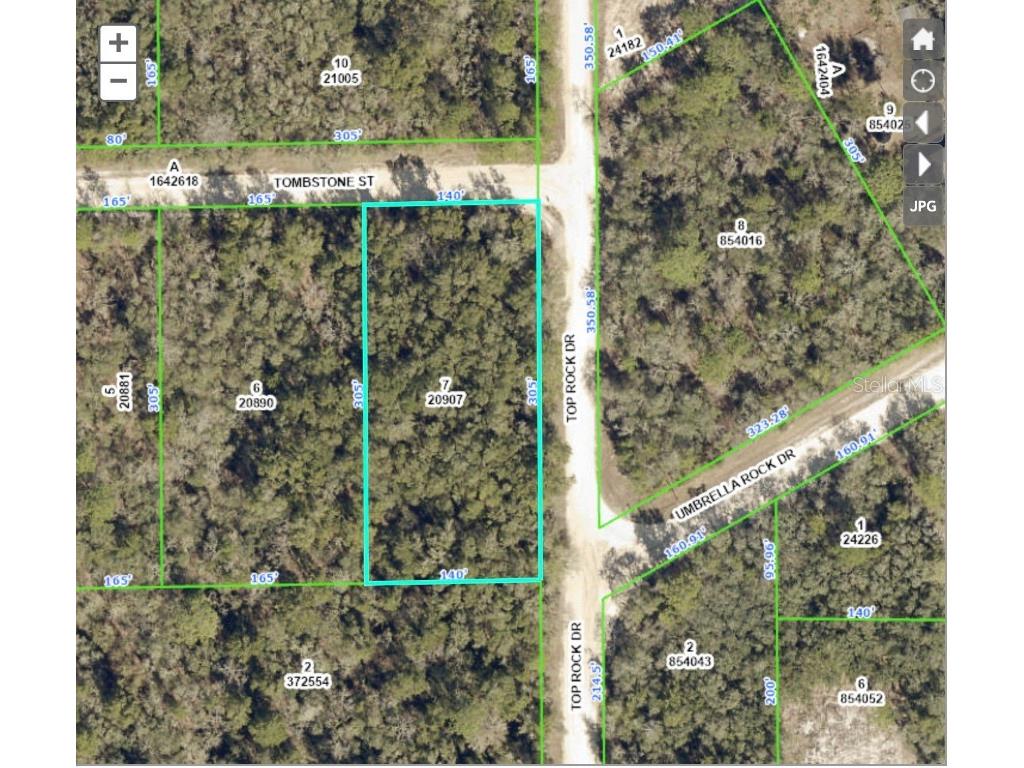 Top Rock Drive Webster FL 33597 T3434677 image1