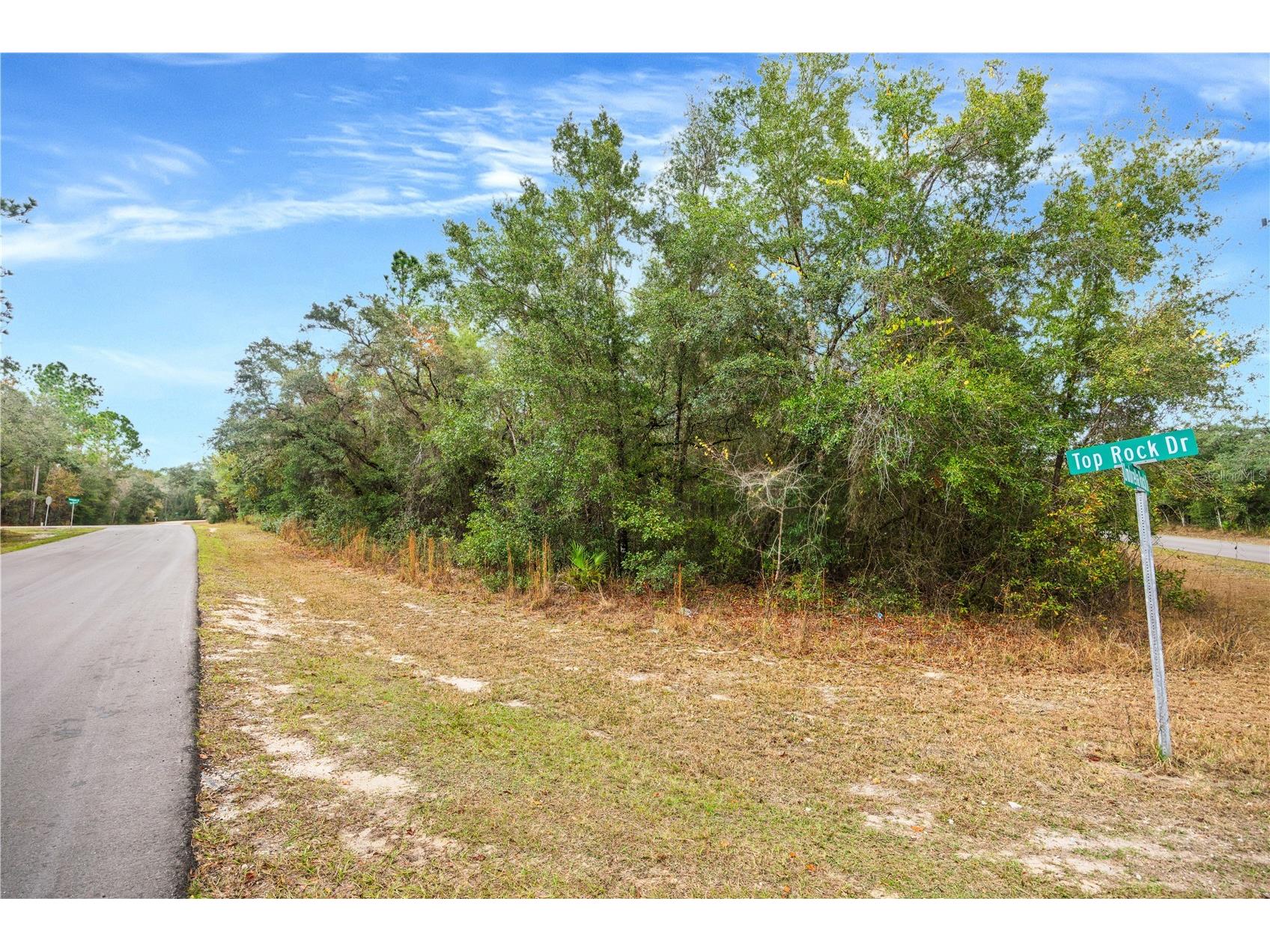 Top Rock Drive Webster FL 33597 TB8456287 image1
