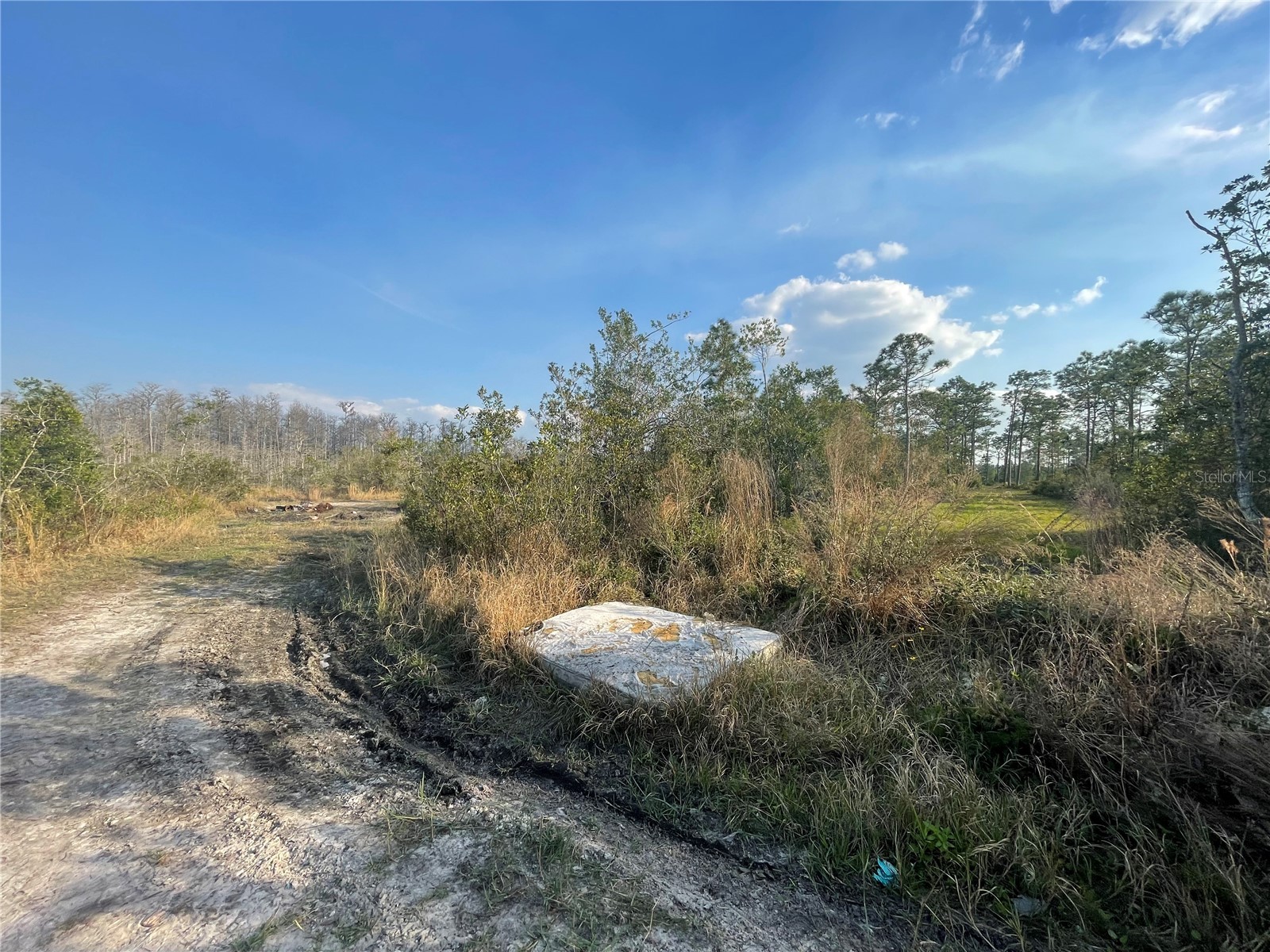 Topeka Avenue Saint Cloud FL 34773 G5115167 image1