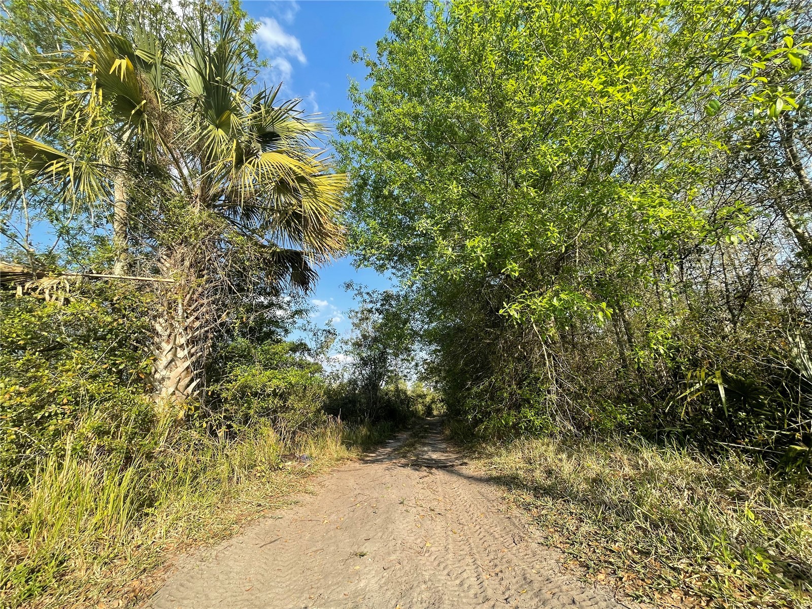 Topeka Avenue Saint Cloud FL 34773 G5115167 image2