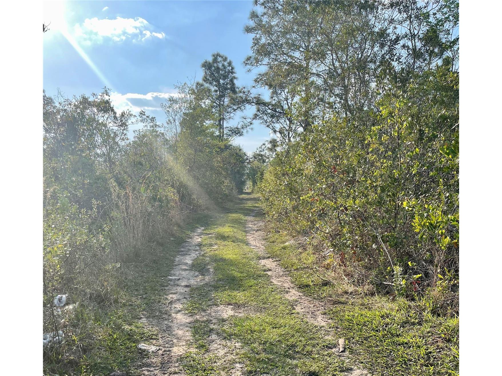 Topeka Avenue Saint Cloud FL 34773 G5115167 image3