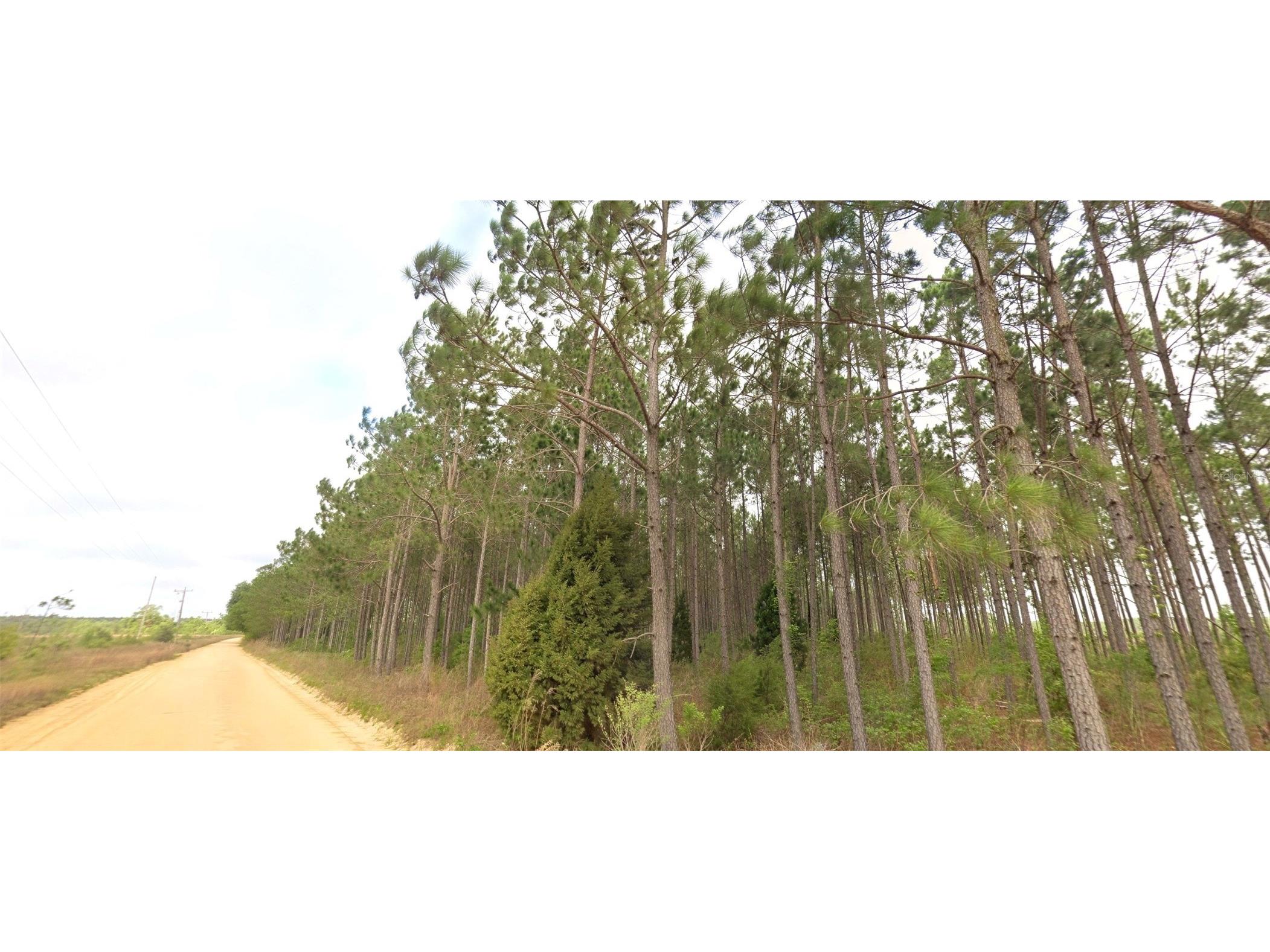 Tower Road Bascom FL 32423 O6376980 image8