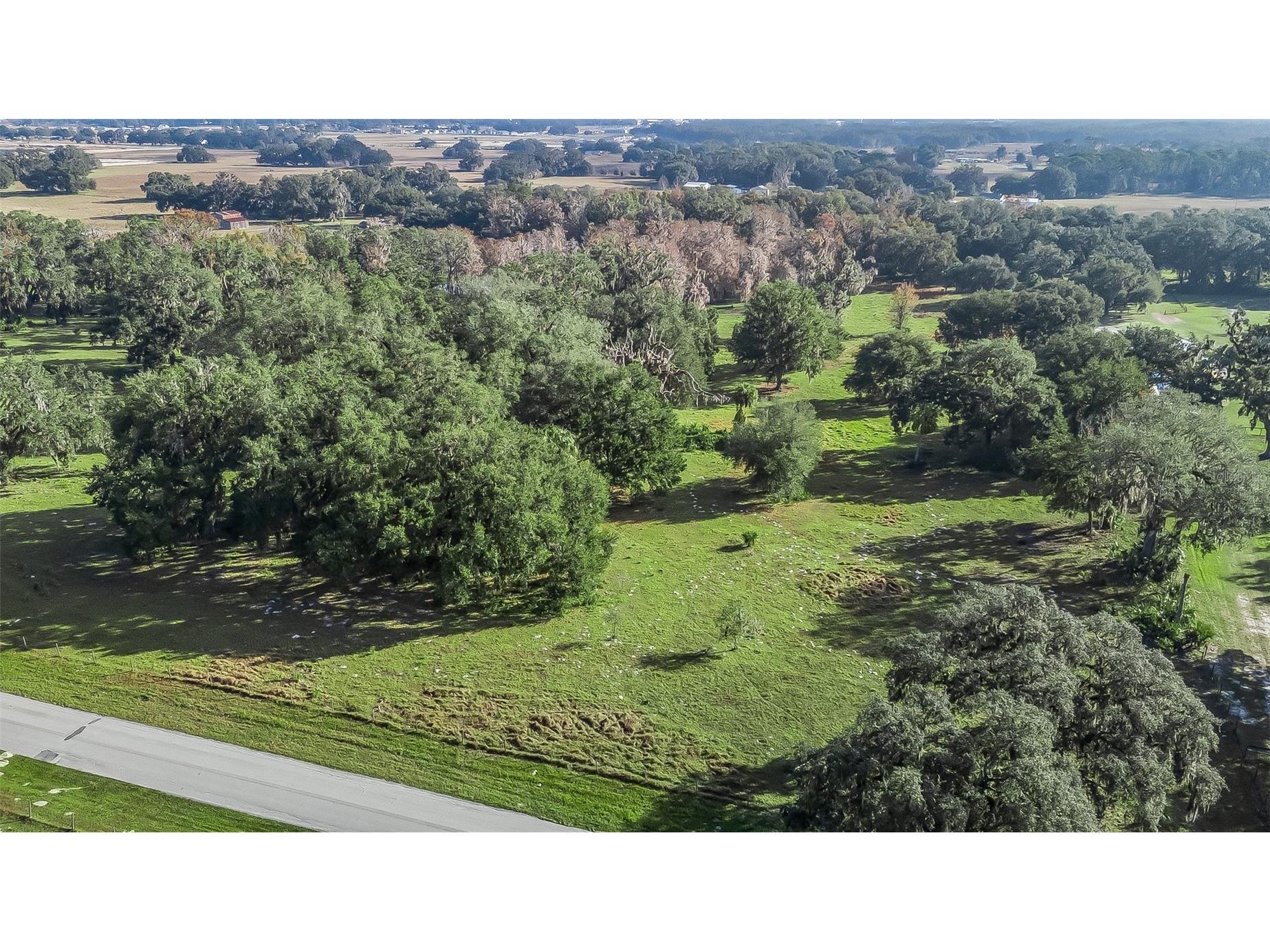 Tract 1 - Cr 221 Wildwood FL 34785 G5107952 image15