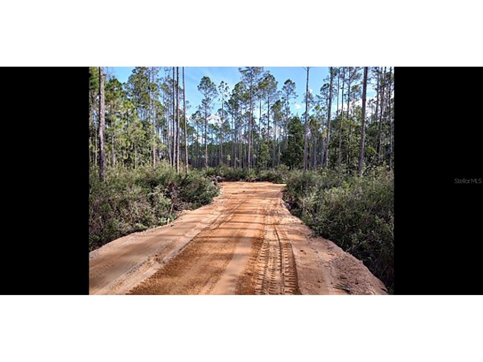 Tract 1 Ne 130th Ave Fort Mc Coy FL 32134 O6090990 image1