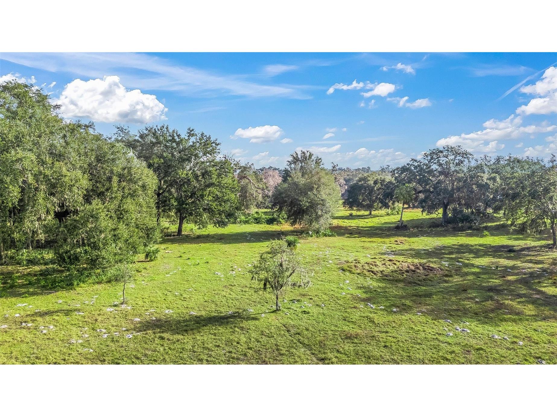 Tract 2 - Cr 221 Wildwood FL 34785 G5107949 image3