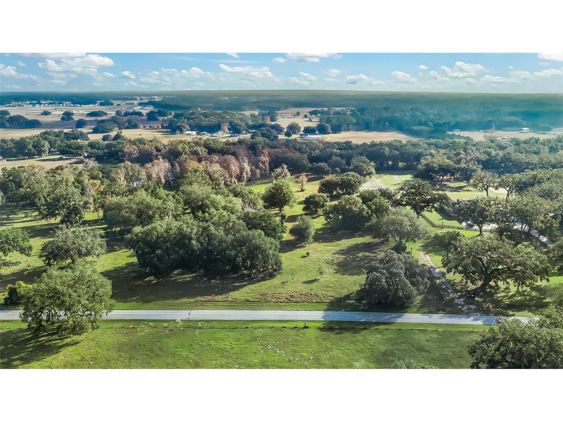 Tract 2 - Cr 221 Wildwood FL 34785 G5107949 image6