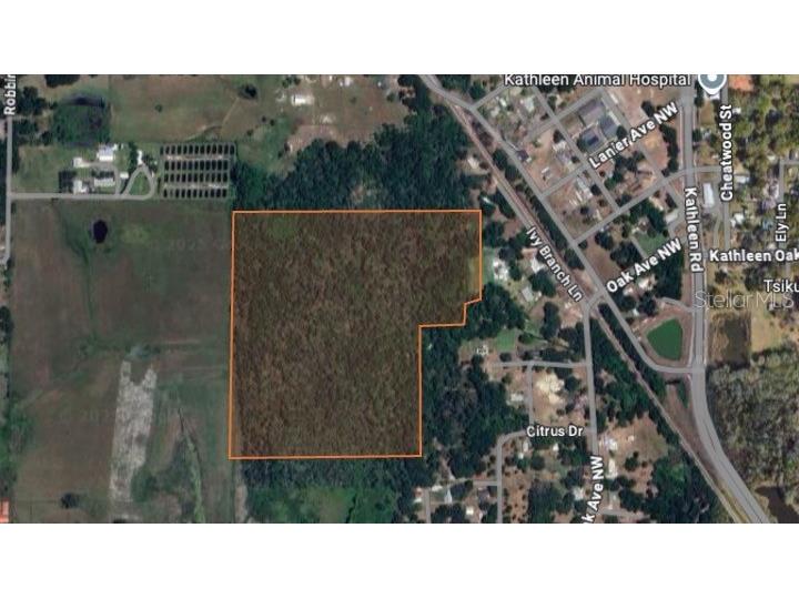 Trail Oaks Lane Lakeland FL 33810 L4956460 image1