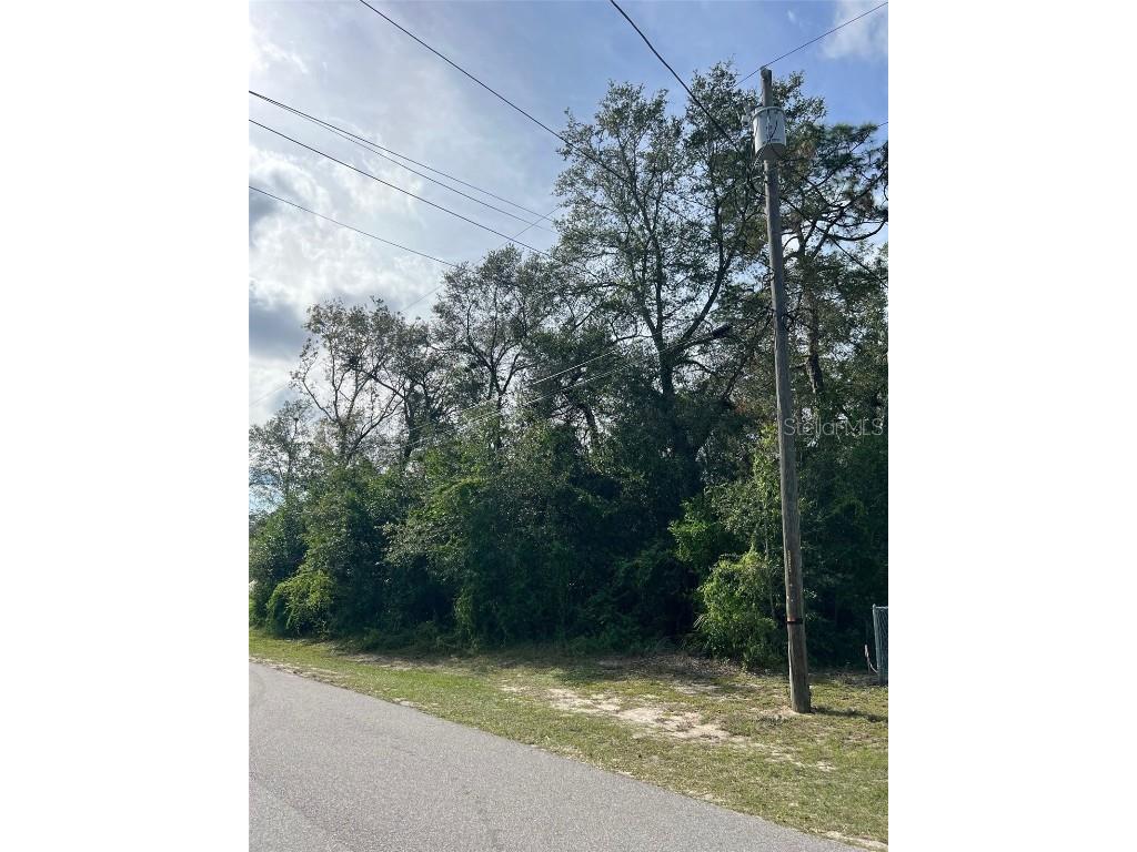 Trailwood Drive Apopka FL 32712 O6161003 image1