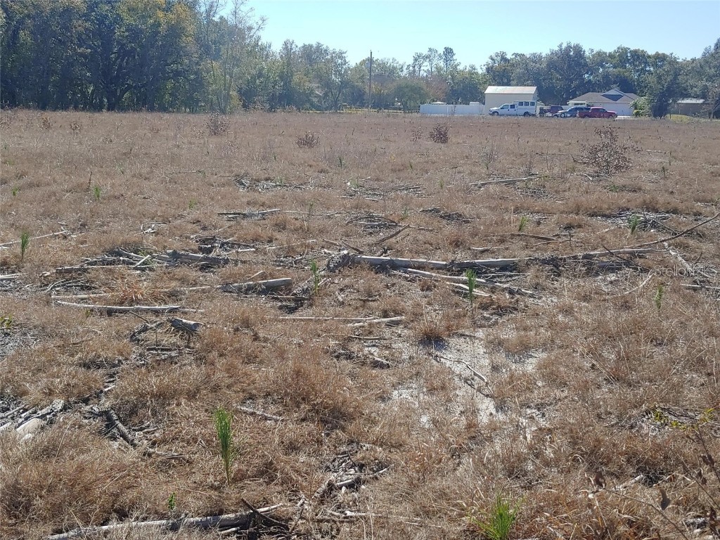 Trapnell Road Plant City FL 33566 O6297507 image4