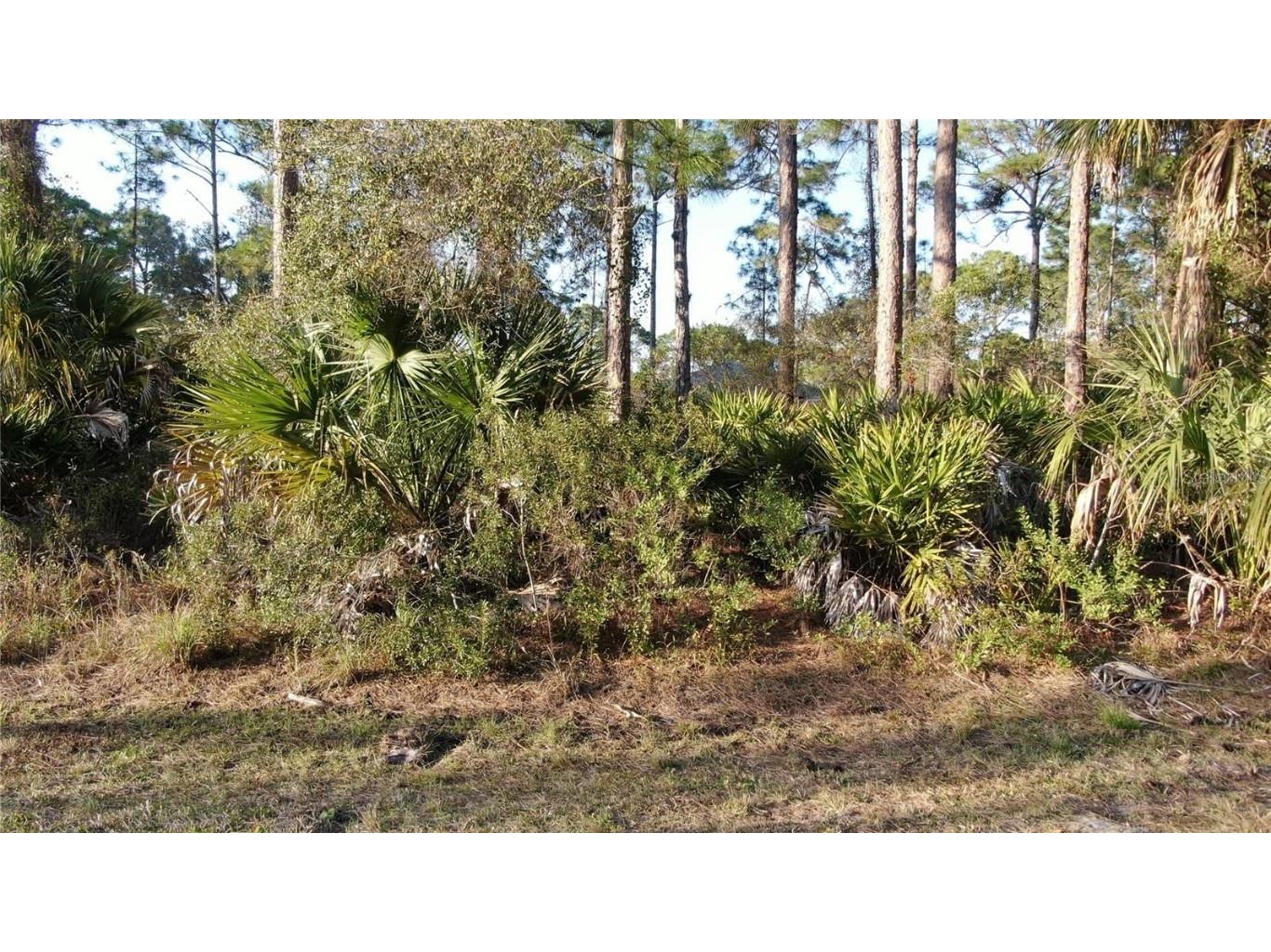 Trapp Street North Port FL 34291 A4666348 image1