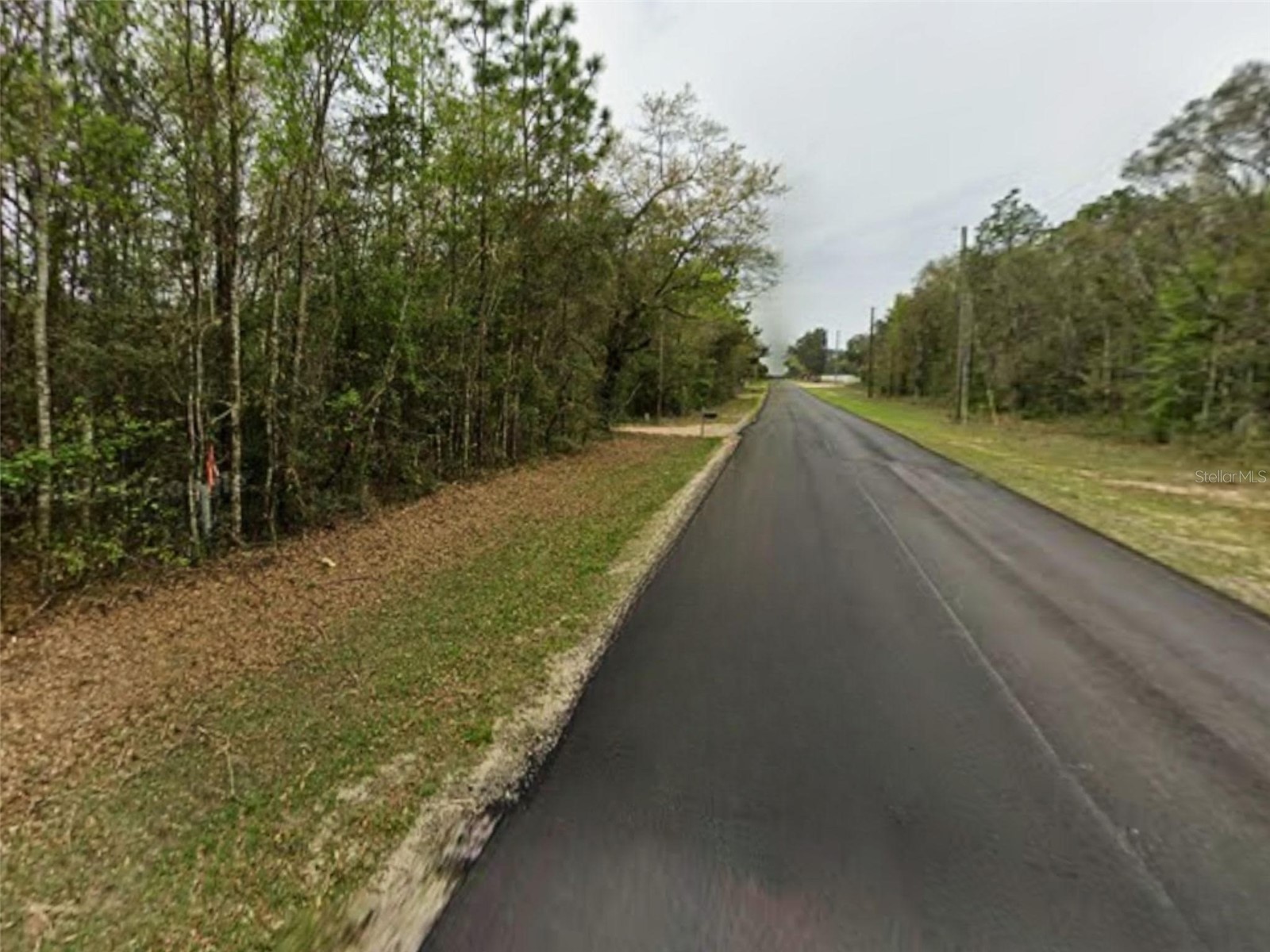Trawick Creek Rd Holt FL 32564 S5147133 image5