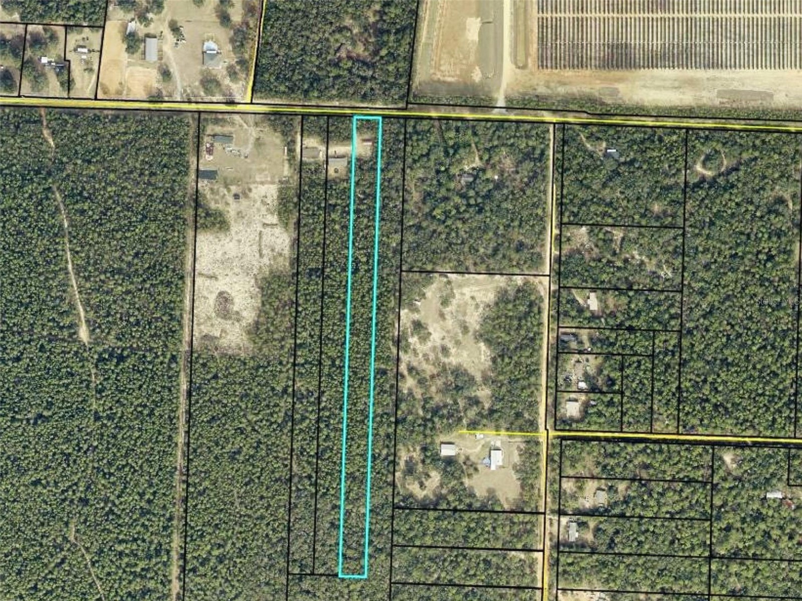 Trawick Creek Rd Holt FL 32564 S5147133 image6