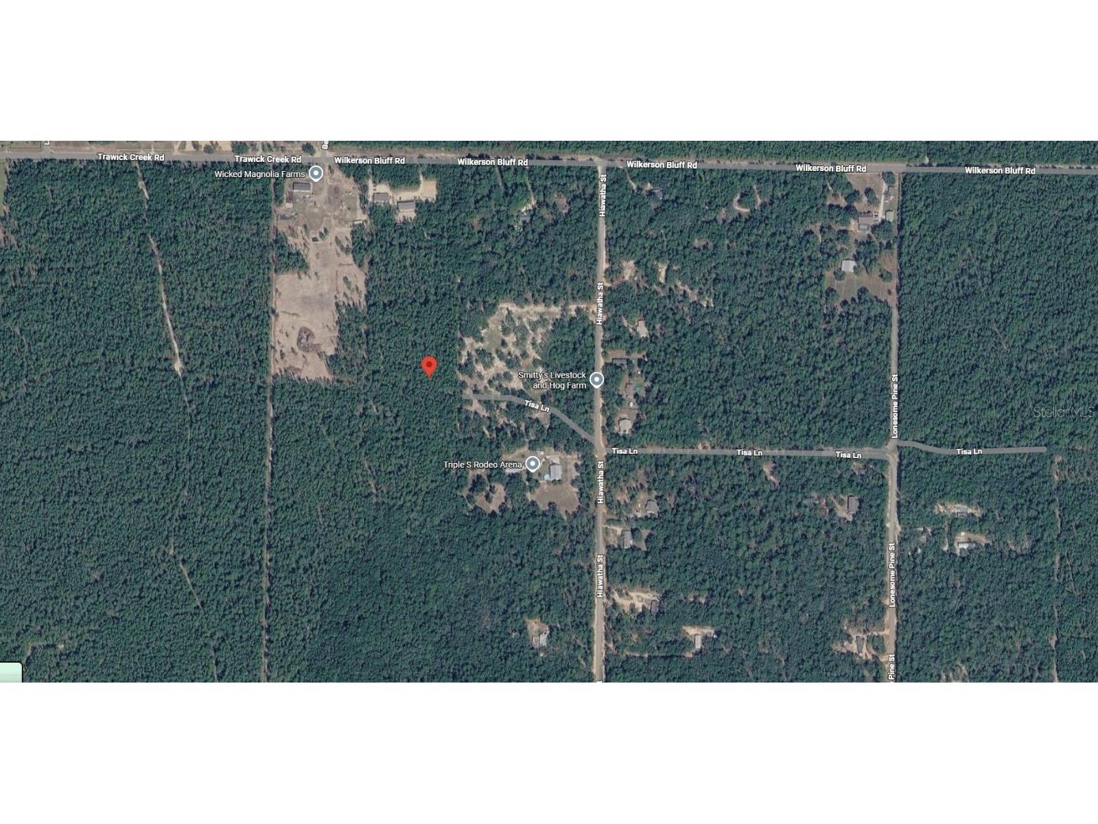 Trawick Creek Rd Holt FL 32564 S5147133 image9